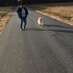 Meet your Posher, Julia